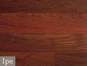 Ipe