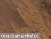 Orzech amerykański